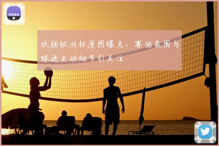 欣杨欧洲杯原图曝光,赛场氛围与球迷互动细节引关注