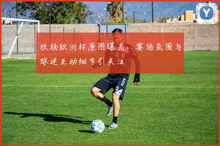 欣杨欧洲杯原图曝光,赛场氛围与球迷互动细节引关注